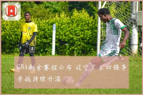 CBA剩余赛程公布 辽宁广东四强争夺战持续升温