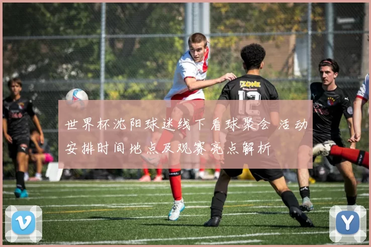 世界杯沈阳球迷线下看球聚会 活动安排时间地点及观赛亮点解析