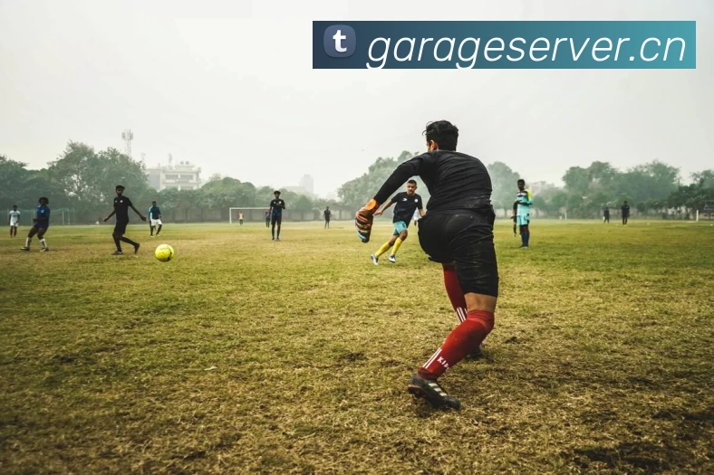 k体育 - k体育(中国)平台生态图